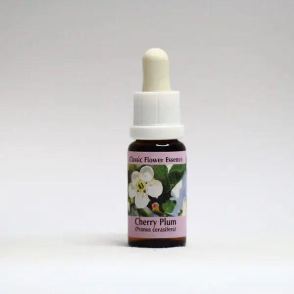 Cherry plum